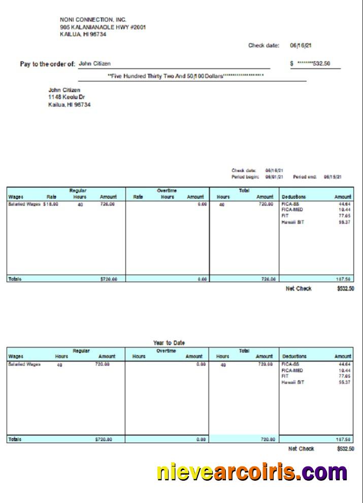 USA HI Pay Stub Photolook