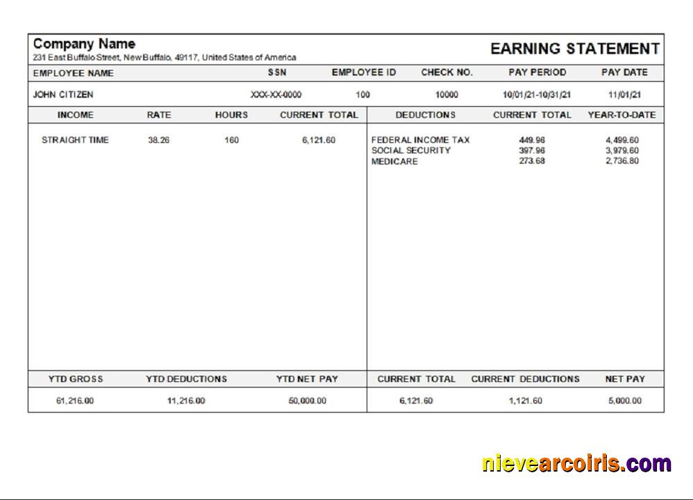 USA Michigan Pay Stub Preview