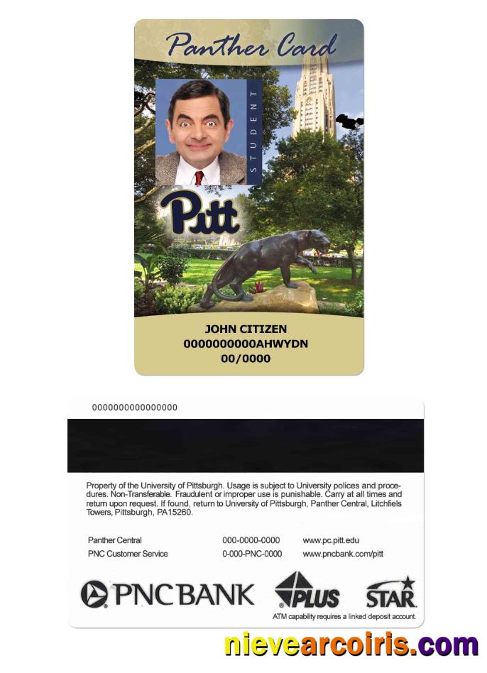 USA The University Of Pittsburgh Student ID Card, Panther Card Photolook