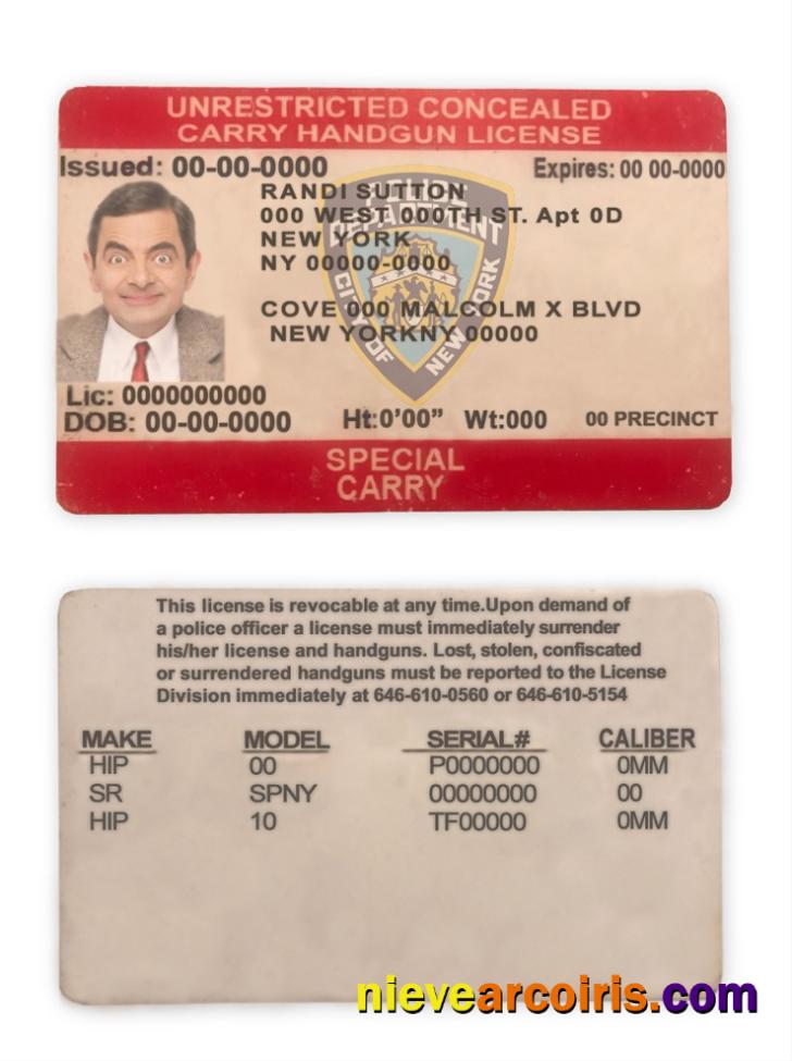 United States New York State Unrestricted Concealed Carry License Sample