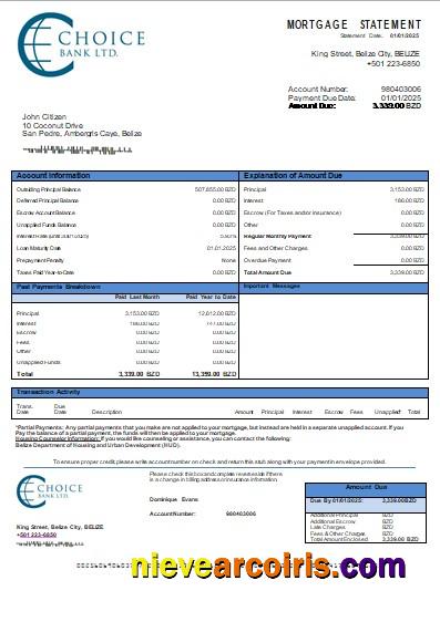 Belize Choice Bank Mortgage Statement Scr Template