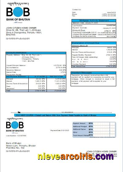 Bhutan Bank Of Bhutan Bank Mortgage Statement Scr Photolook