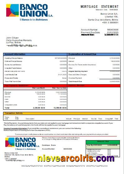 Bolivia Banco Union Bank Mortgage Statement Scr Template
