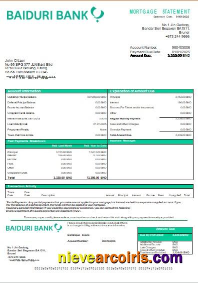 Brunei Baiduri Bank Mortgage Statement Scr Template