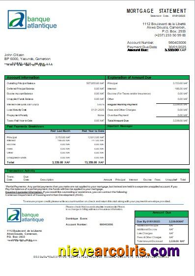 Cameroon Atlantic Bank Mortgage Statement Scr Preview