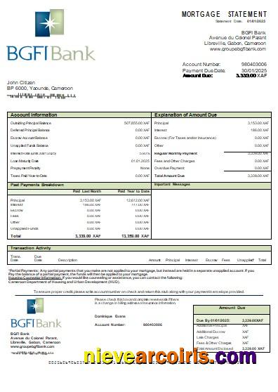 Cameroon BGFI Bank Mortgage Statement Scr Photolook