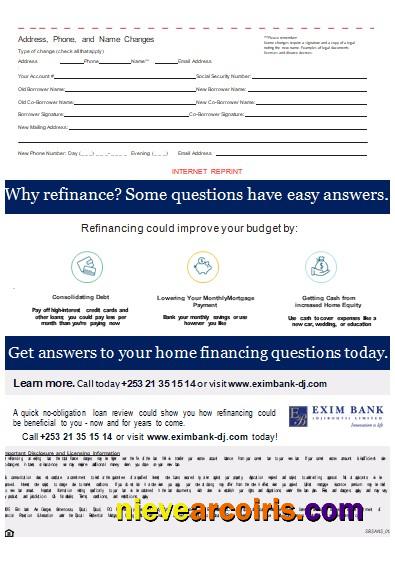 Djibouti Exim Bank Mortgage Statement, 3 Pages, 3 Scr Preview