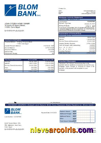 Egypt Blom Bank Of Egypt Bank Mortgage Statement Scr Template