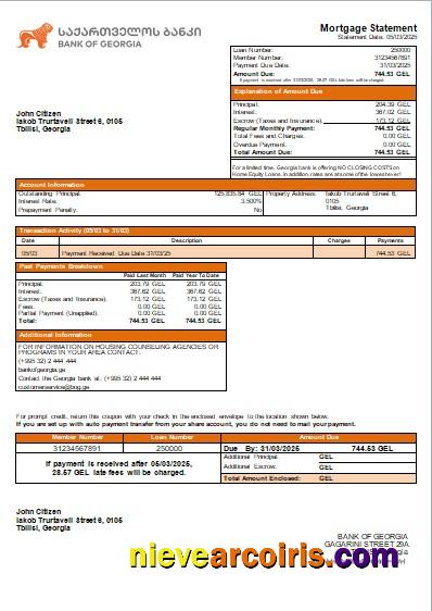 Georgia Bank Of Georgia Bank Mortgage Statement Scr Sample