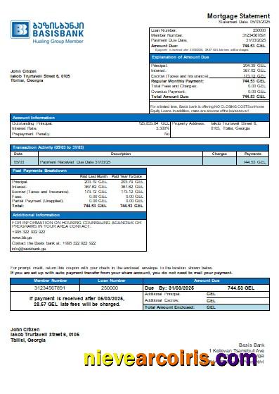 Georgia Basis Bank Mortgage Statement Scr Photolook