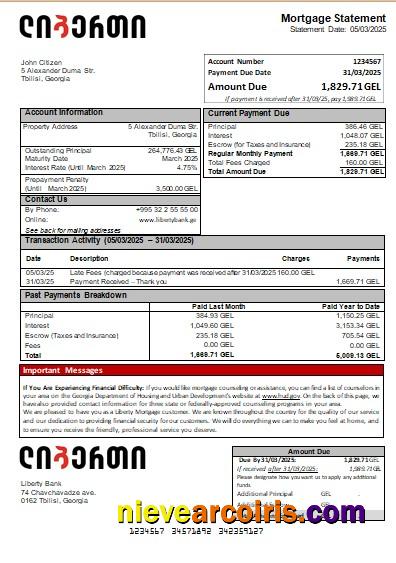 Georgia Liberty Bank Mortgage Statement Scr Template
