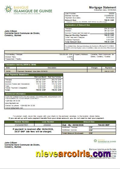Guinea Banque Islamique De Guinée Bank Mortgage Statement Scr Preview