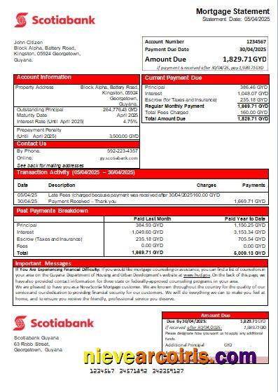 Guyana Bank Of Nova Scotia Bank Mortgage Statement Scr Preview