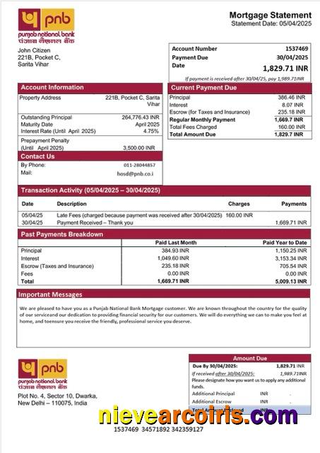 Professional India Punjab National Bank Mortgage Statement Word And PDF Template