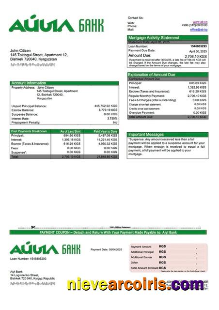 Professional Kyrgyzstan Aiyl Bank Mortgage Statement Word And PDF Template