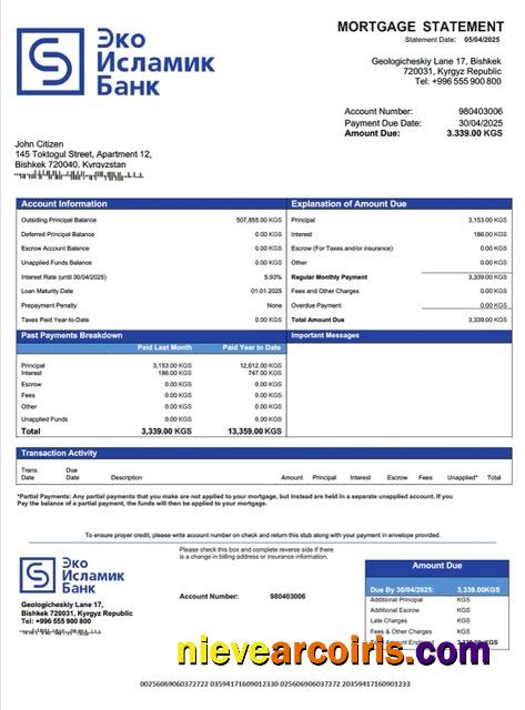Premium Kyrgyzstan EcoIslamicBank Mortgage Statement Word And PDF Template