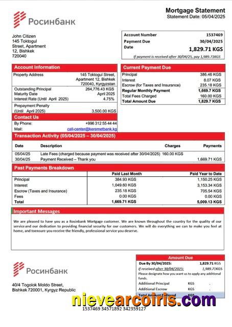 Realistic Kyrgyzstan Rosinbank Mortgage Statement Word And PDF Template