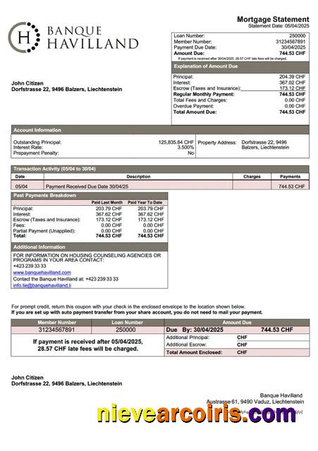 Premium Liechtenstein Banque Havilland Mortgage Statement Word And PDF Template