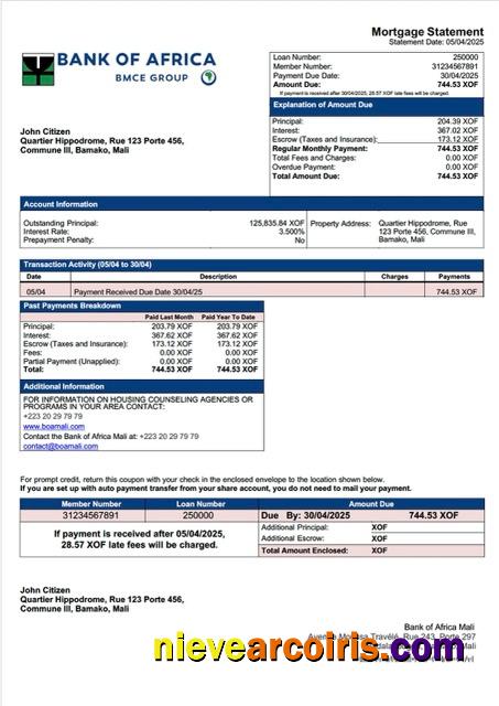 Premium Mali Bank Of Africa Mali Mortgage Statement Word And PDF Template