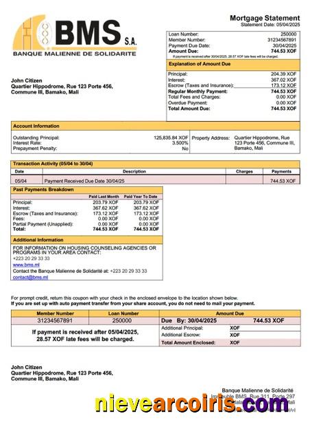 Premium Mali Banque Malienne De Solidarité (BMS) Mortgage Statement Word And PDF Template