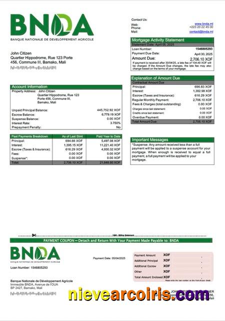 Premium Mali Banque Nationale De Développement Agricole (BNDA) Mortgage Statement Word And PDF Template