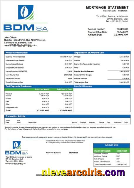 Premium Mali Banque Du Développement Du Mali (BDM) Mortgage Statement Word And PDF Template