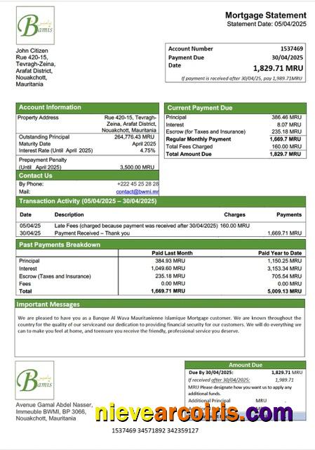 Premium Mauritania Banque Al Wava Mauritanienne Islamique Mortgage Statement Word And PDF Template