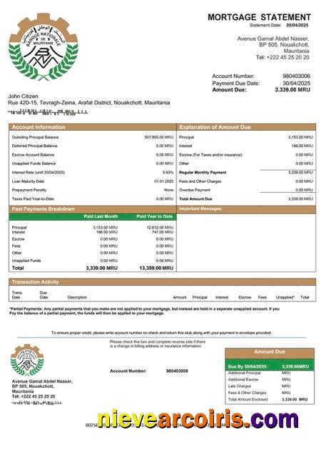 Professional Mauritania Banque Nationale De Mauritanie (BNM) Mortgage Statement Word And PDF Template