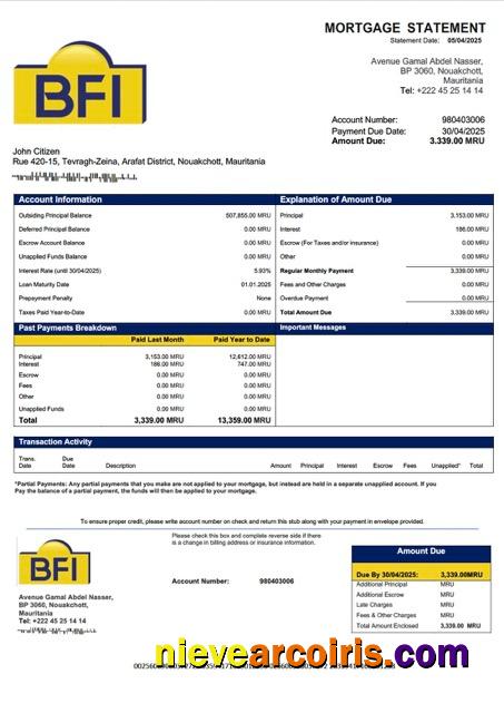 Professional Mauritania Banque Des Financements Islamiques (BFI) Mortgage Statement Word And PDF Template