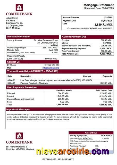 Premium Moldova Comerțbank Mortgage Statement Word And PDF Template