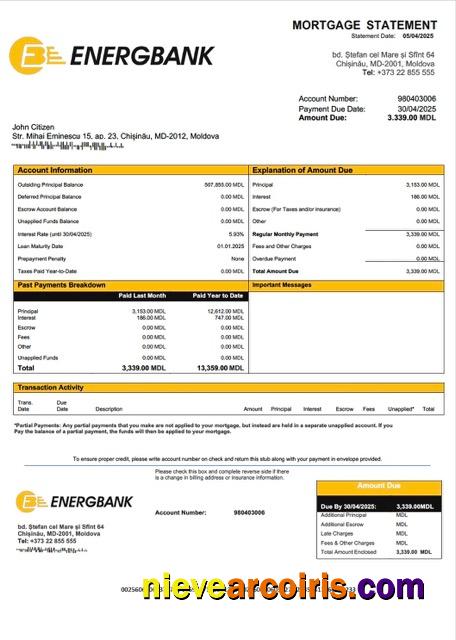Professional Moldova Energbank Mortgage Statement Word And PDF Template