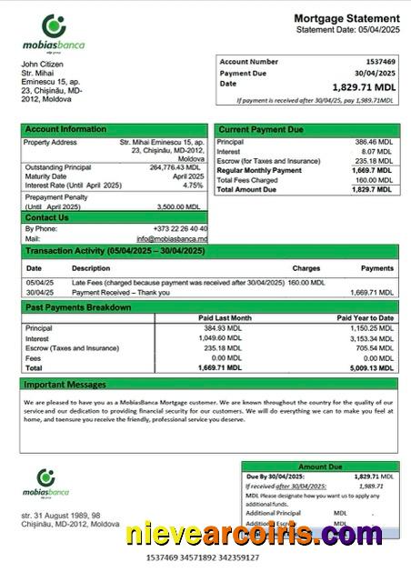 Professional Moldova MobiasBanca Mortgage Statement Word And PDF Template