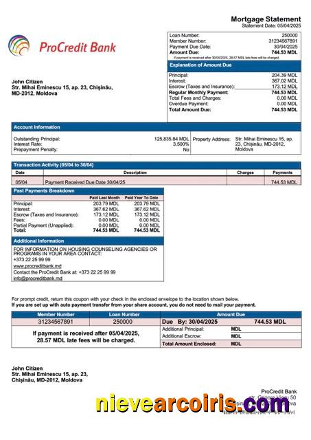 Premium Moldova ProCredit Bank Mortgage Statement Word And PDF Template