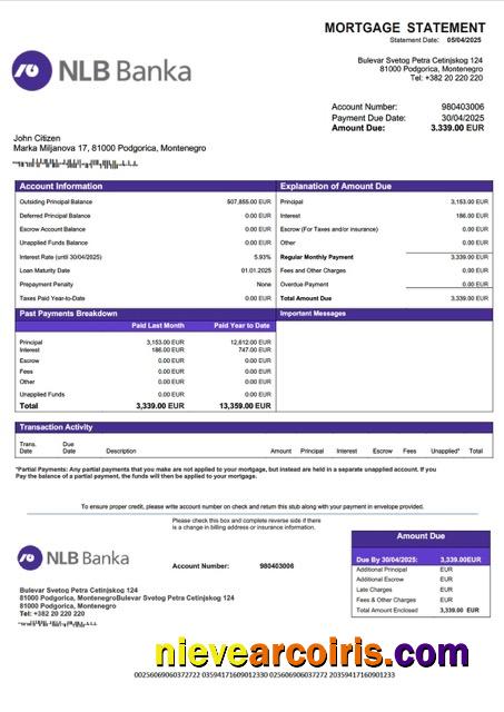Professional Montenegro NLB Banka Podgorica Mortgage Statement Word And PDF Template