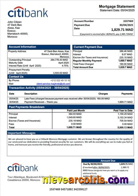 Premium Morocco Citibank Morocco Mortgage Statement Word And PDF Template