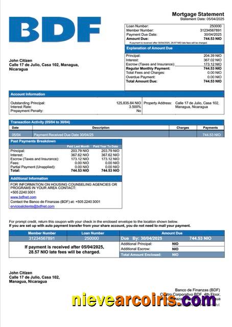 Realistic Nicaragua Banco De Finanzas (BDF) Mortgage Statement Word And PDF Template