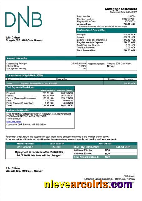 Professional Norway DNB Bank Mortgage Statement Word And PDF Template