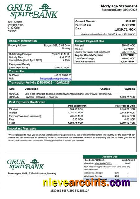 Realistic Norway Grue Sparebank Mortgage Statement Word And PDF Template