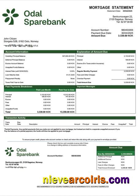 Realistic Norway Odal Sparebank Mortgage Statement Word And PDF Template