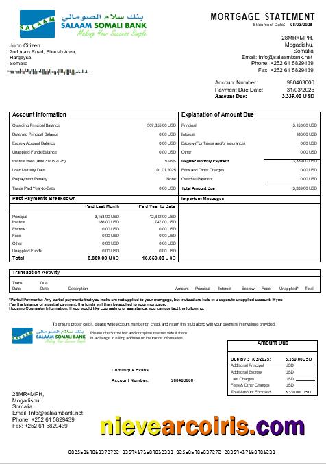 Somali Salaam Somali Bank Mortgage Statement In Word And PDF Formats Photolook