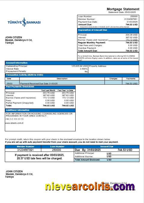 Turkey Bankasi Bank Mortgage Statement In Word And PDF Formats Preview