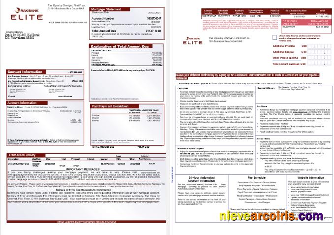 UAE Rakbank Elite Bank Mortgage Statement In Word And PDF Formats, 3 Pages 1 2 Preview