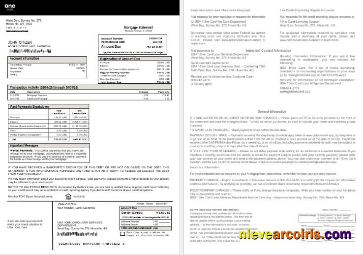 USA 1One Card Mortgage Statement In Word And PDF Formats Photolook
