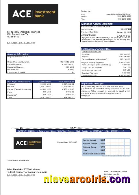 USA ACE Bank Mortgage Statement In Word And PDF Formats Template