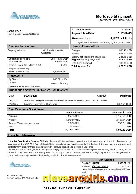 USA APCI Federal Credit Union Mortgage Statement In Word And PDF Formats Photolook