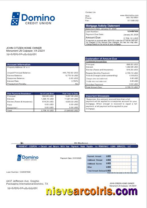 USA Bank Of Domino Bank Mortgage Statement In Word And PDF Formats Sample