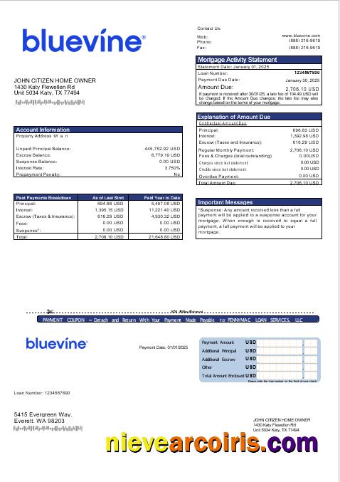 USA Bluevine Bank Mortgage Statement In Word And PDF Formats Template