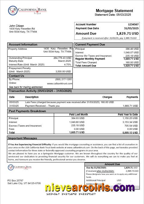 USA California Bank Trust Bank Mortgage Statement In Word And PDF Formats Template