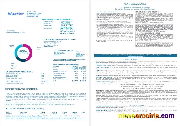 USA California BlueVine Bank Mortgage Loan Statement In Word And PDF Formats , 4 Pages 1 2 Sample