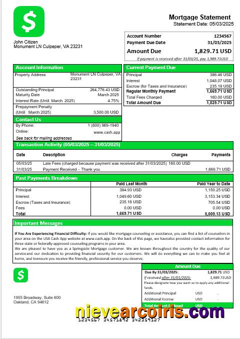 USA Cash App Mortgage Statement In Word And PDF Formats Photolook